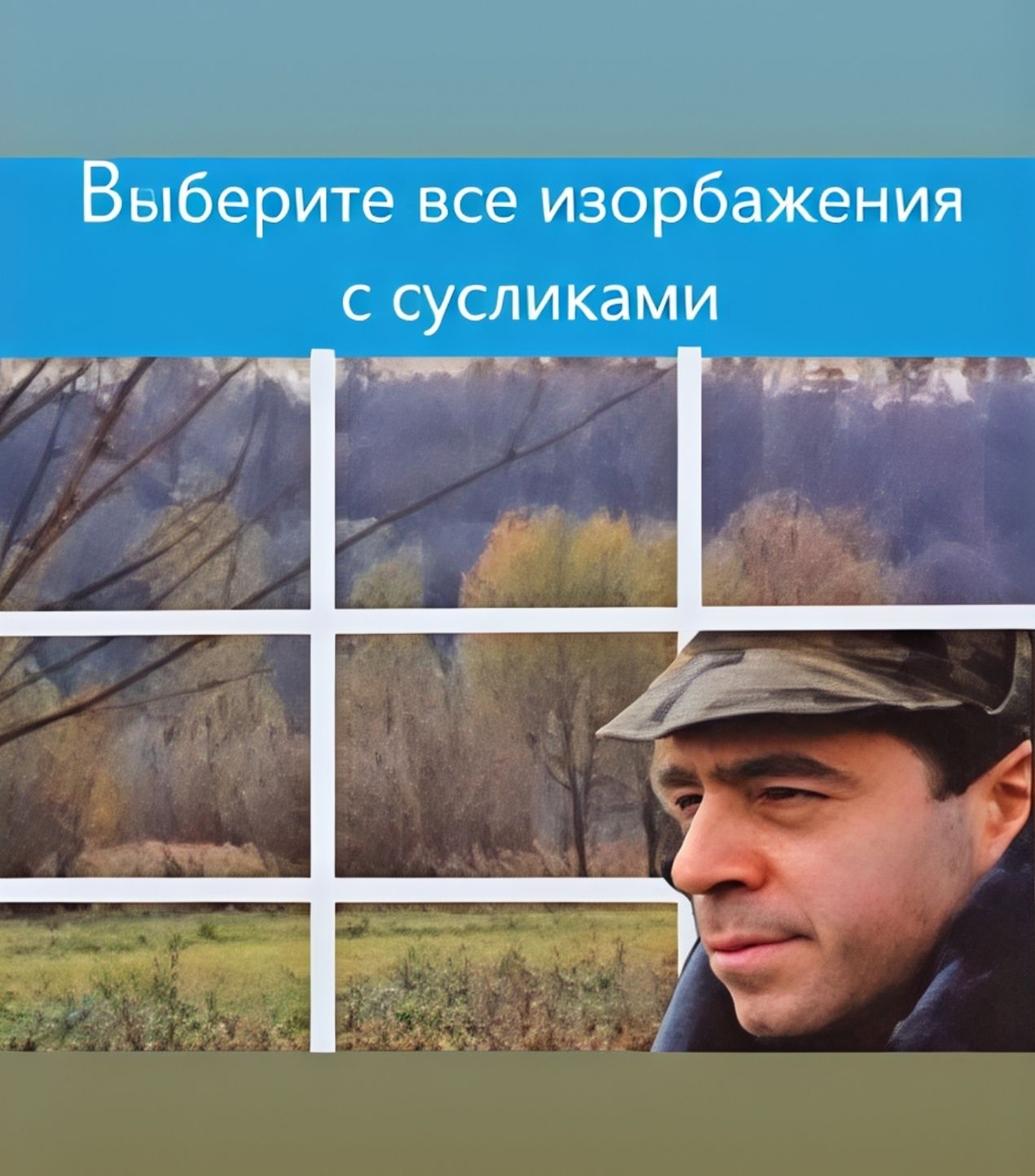 Выберите все изображения с сусликами