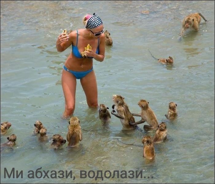 Мы абхазы, водолази...