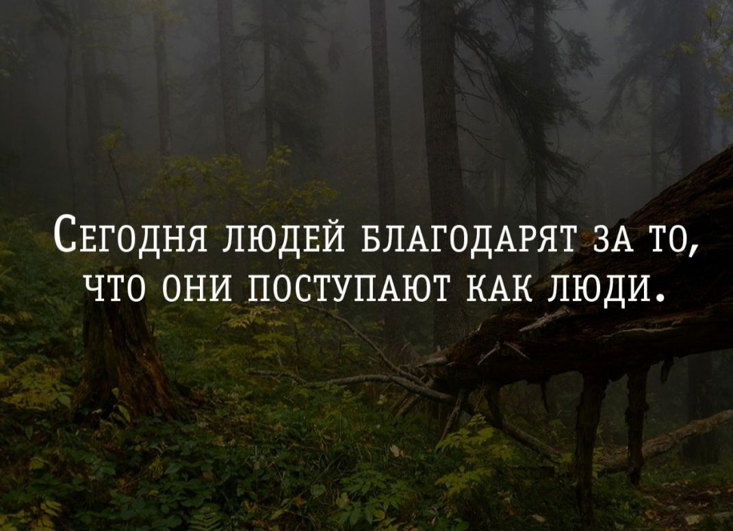 Сегодня людей благодарят за то, что они поступают как люди.