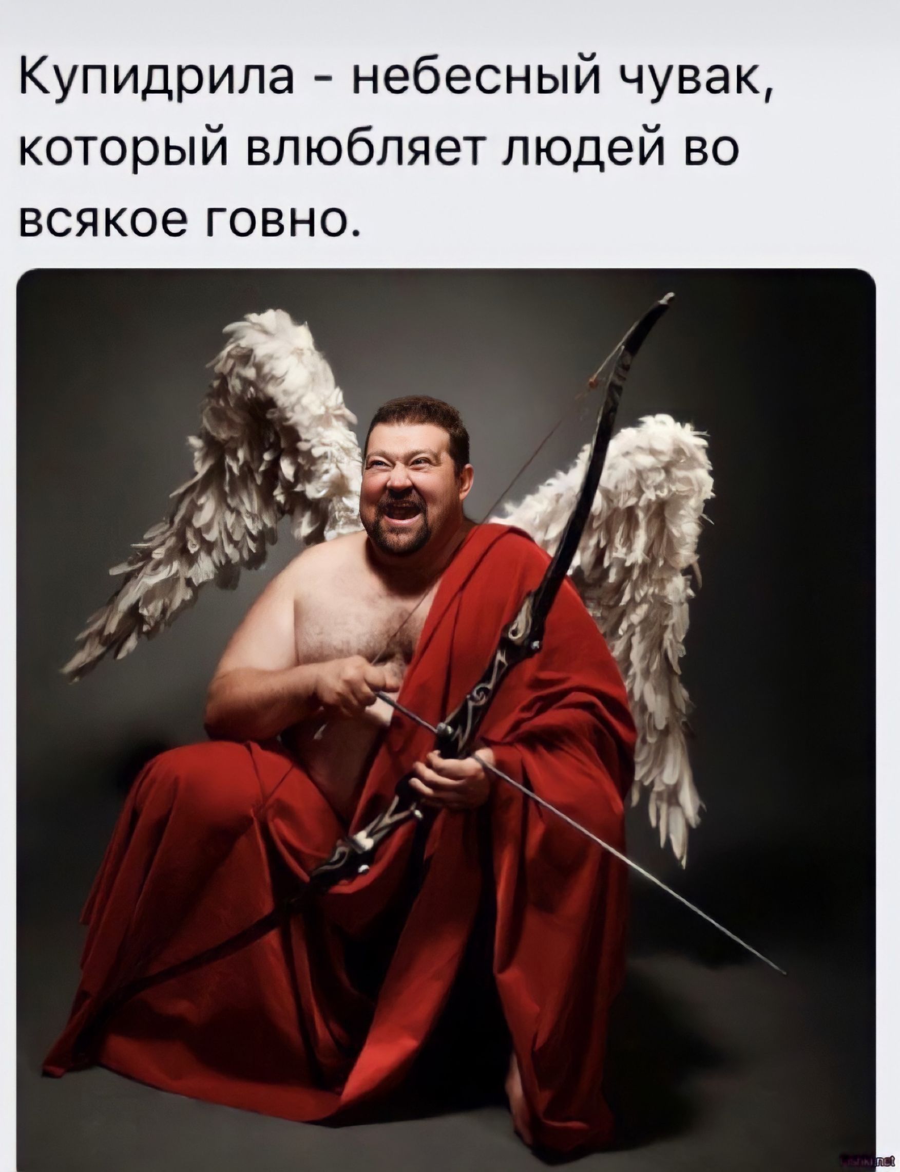 Купидрила - небесный чудак, который влюбляет людей во всякое говно.