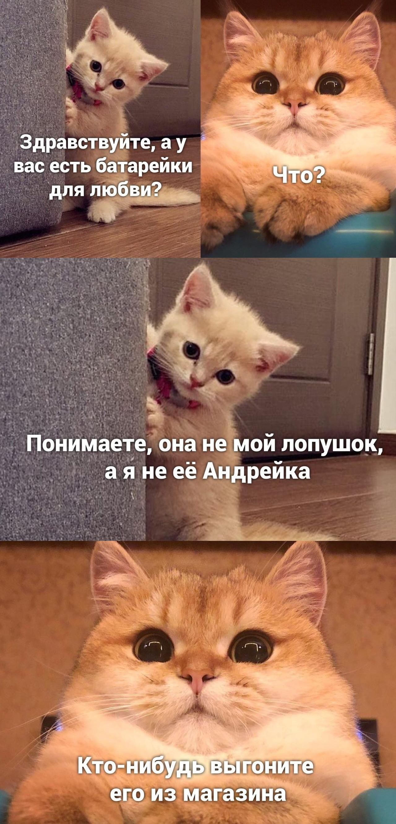 Здравствуйте, а у вас есть батарейки для любви? Что? Понимаете, она не мой лопушок, а я не её Андрейка. Кто-нибудь выгоните его из магазина