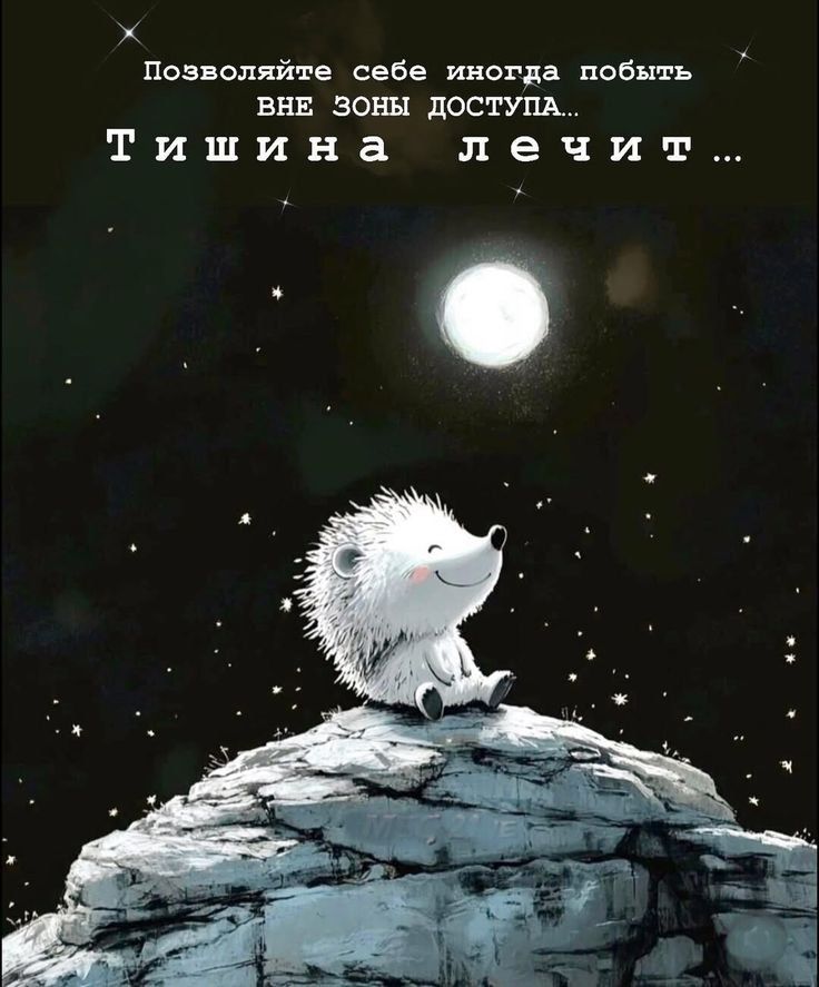 Позвольте себе иногда побыть вне зоны доступа... Тишина лечит...