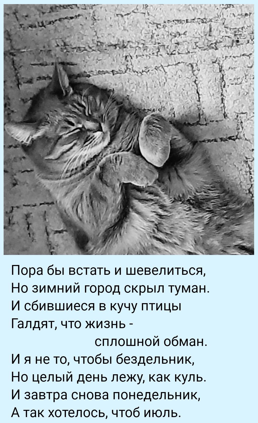 Пора бы встать и шевелиться,
Но зимний город скрыл туман.
И сбившиеся в кучу птицы
Галдят, что жизнь - сплошной обман.
И я не то, чтобы бездельник,
Но целый день лежу, как кул.
И завтра снова понедельник,
А так хотелось, чтоб июль.
