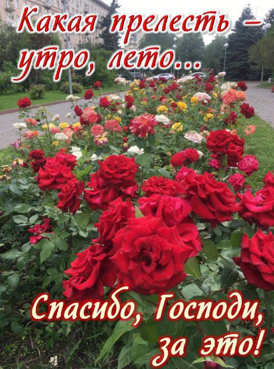 СпасшУо Г оспа да 31170