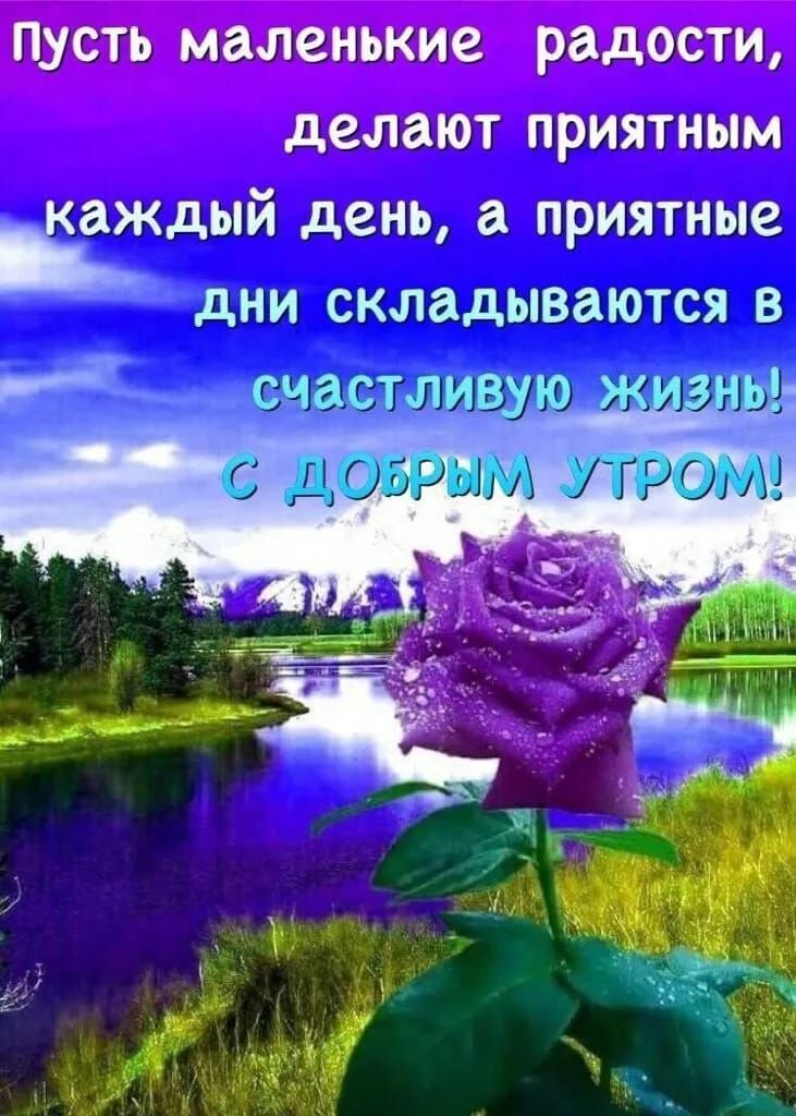 ПУСТЬ маленькие радости деЛЗЮТ ПРИЯТНЫМ наждый день а приятные дни складываются в