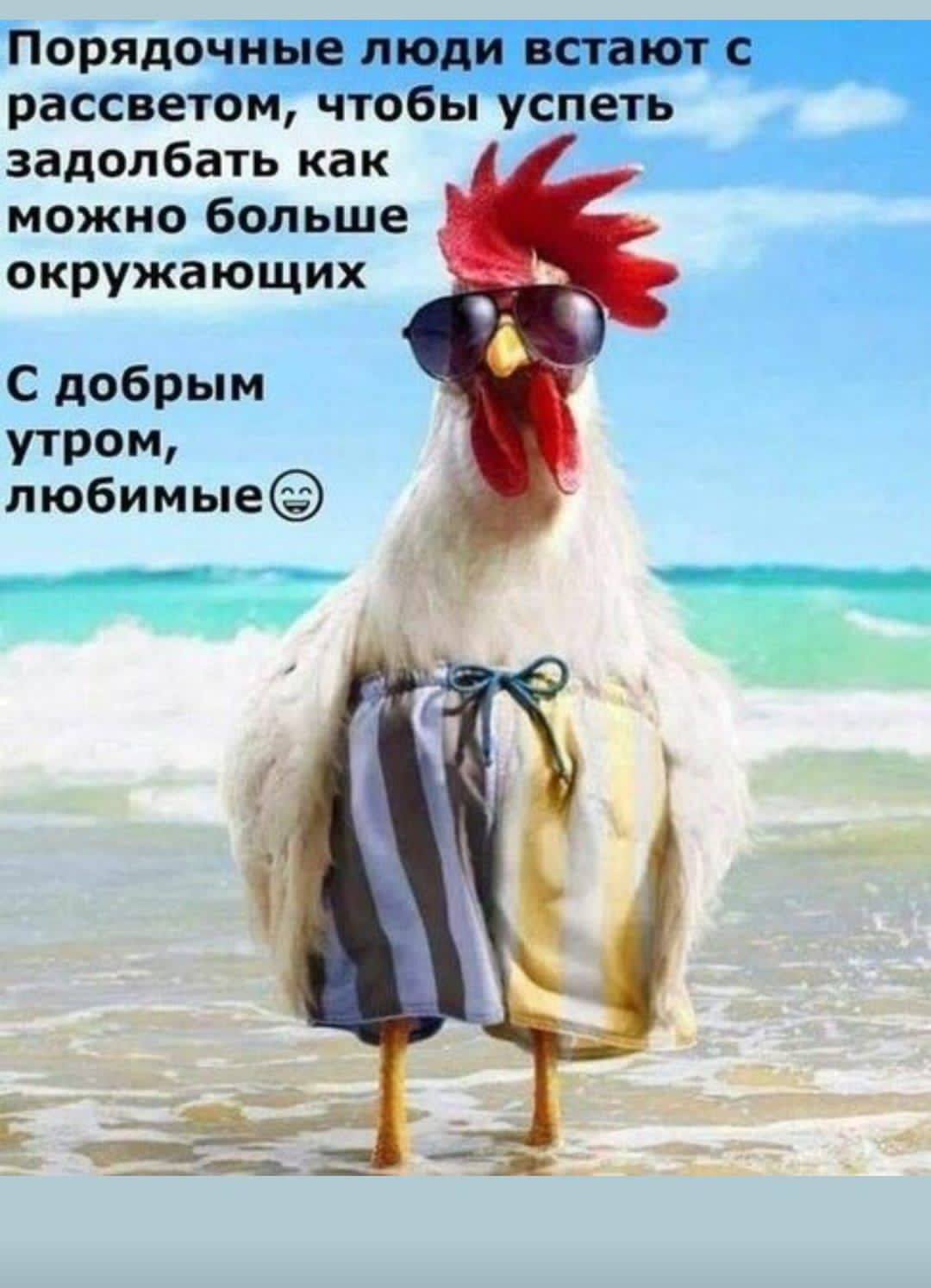 задолбать как можно больше окружающих С добрым УТРО любимые