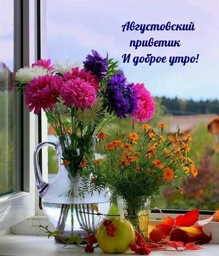 Ядгщтддский привел Аш И упарое утро