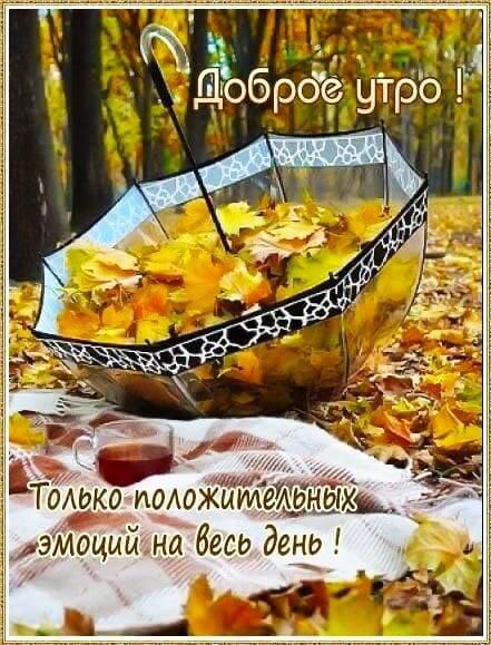 г добро утро ТоХокоьиемЖтейёьТЁХЬ д эМоцимцна бесо день