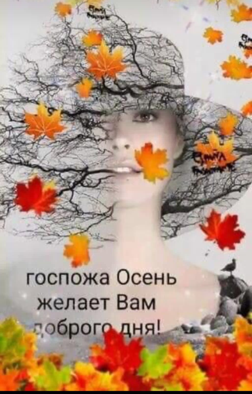 госпожа Осень 3 желает Вам