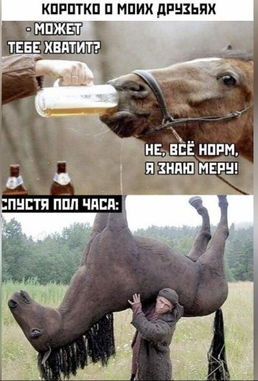 КПРПТКП П МПИХ дРНЗЬЯХ
