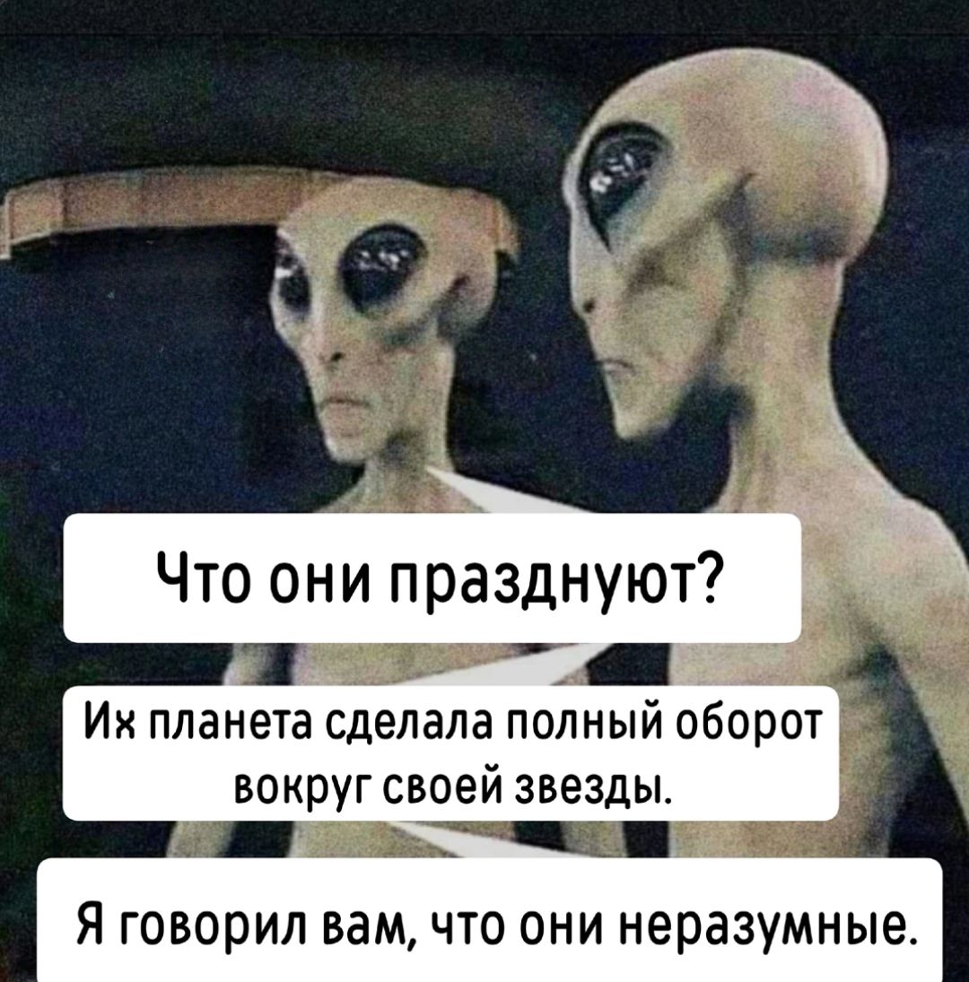 Что они празднуют?
Их планета сделала полный оборот вокруг своей звезды.
Я говорил вам, что они неразумные.