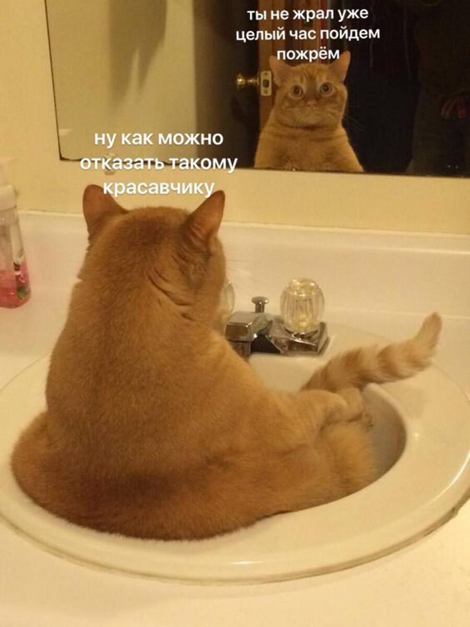 ты не храп уже целый час пойдем дохрём