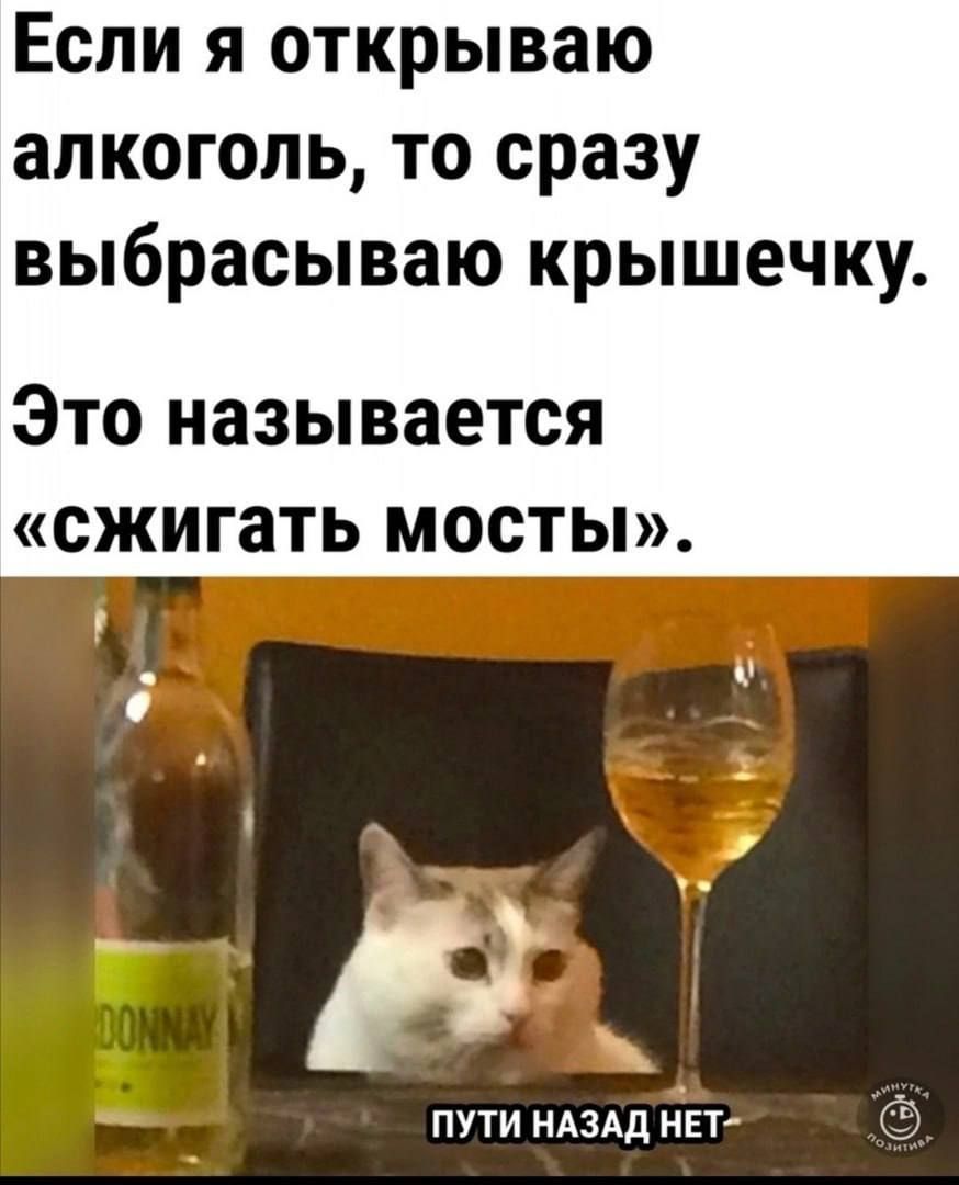 Если я открываю алкоголь то сразу выбрасываю крышечку Это называется сжигать мосты пути НАЗАД нет 3