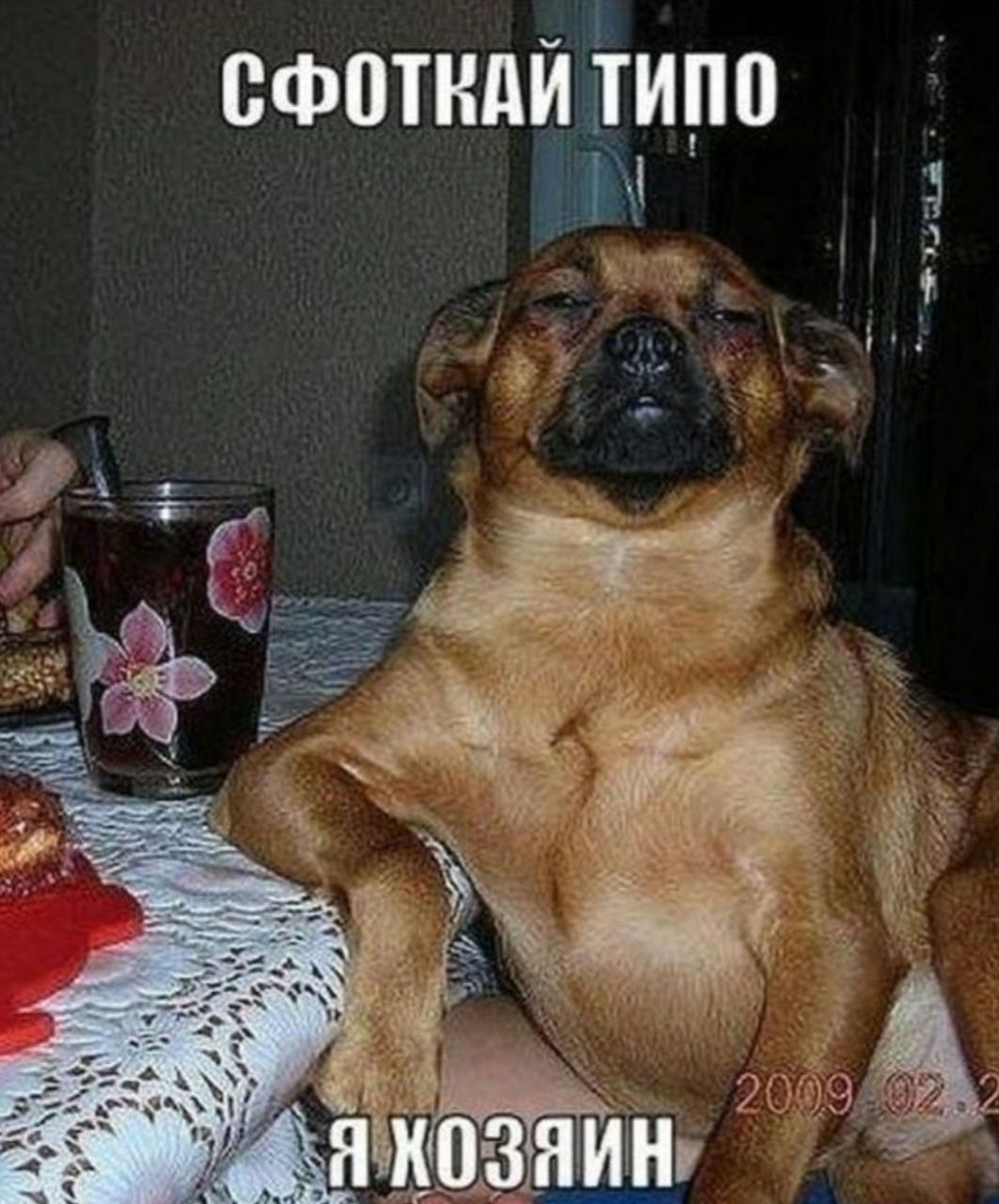 СФЩНДЙ ТИПП ы