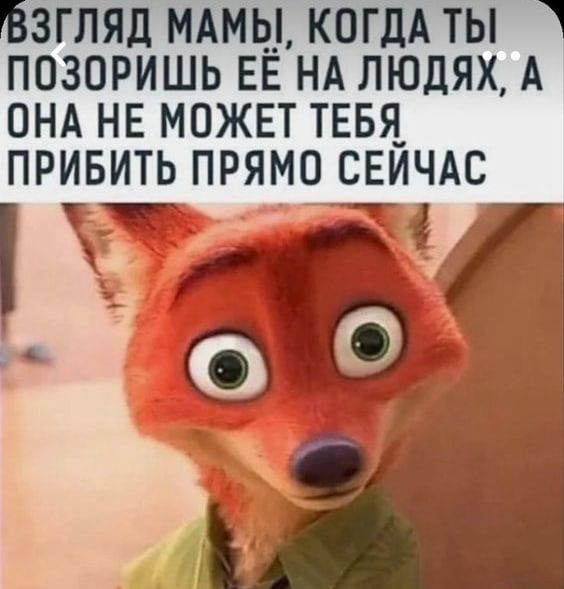 ВЗГЛЯДЁАМЬ КОТЁЛ ТВТ ПОЗОРИШЬ ЕЁ НА ЛЮДЯХ А ОНА НЕ МОЖЕТ ТЕБЯ ПРИБИТЬ ПРЯМО СЕЙЧАС тт