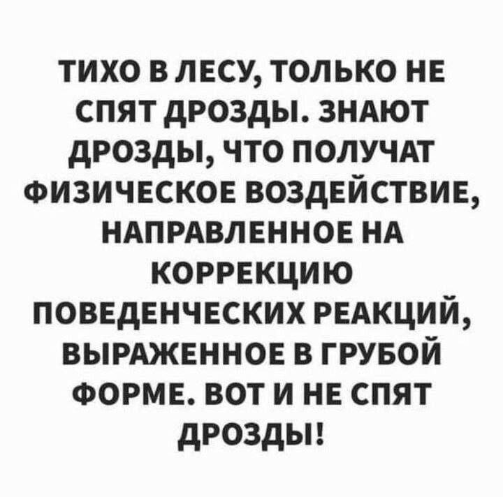 тихо влесу только не спят дрозды зндют дрозды что получдт Физическое воздействие ндпрдвленное нд коррекцию поведенческих редкций вырдженное в грувой ФОРМЕ вот и не спят дроздыд