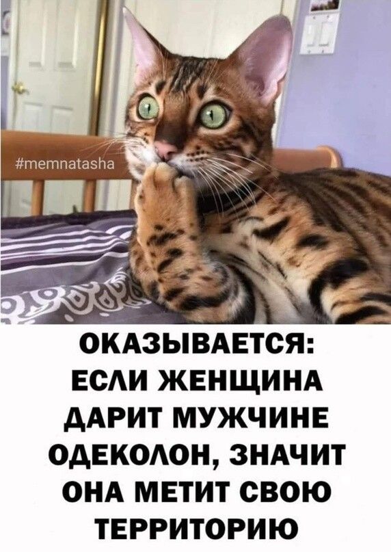 д ОКАЗЫВАЕТСЯ ЕСАИ ЖЕНЩИНА ААРИТ МУЖЧИНЕ ОДЕКОАОН ЗНАЧИТ ОНА МЕТИТ СВОЮ ТЕРРИТОРИЮ