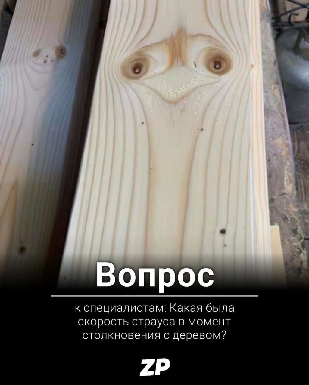 опрос Пециап м Какая была скорость страуса в момент стспкнсвении с деревом 2Р