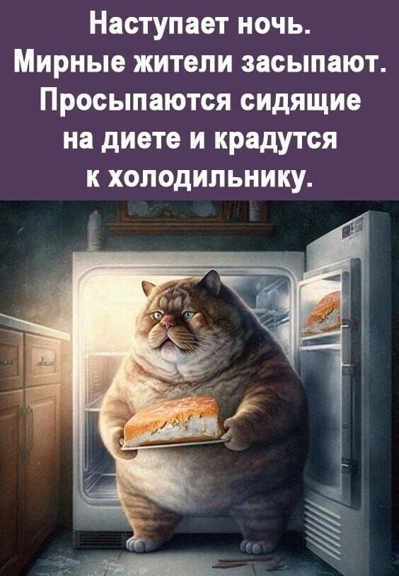 Наступает ночь Мирные жители засыпают Просыпаются сидящие на диете и крадутся к холодильнику