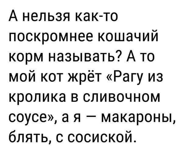 А нельзя как то поскромнее кошачий корм называть А то мой кот жрёт Рагу из кролика в сливочном соусе а я макароны блять с сосиской