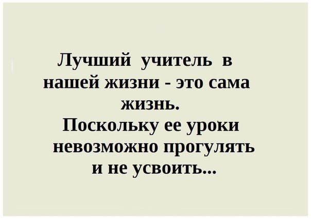 Лучший учитель в нашей жизни это сама жизнь Поскольку ее уроки невозможно прогулять и не усвоить
