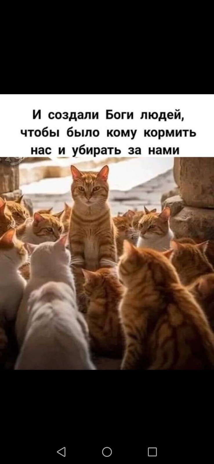 И создали Боги людей чтобы было кому кормить _ нас и убирать за нами