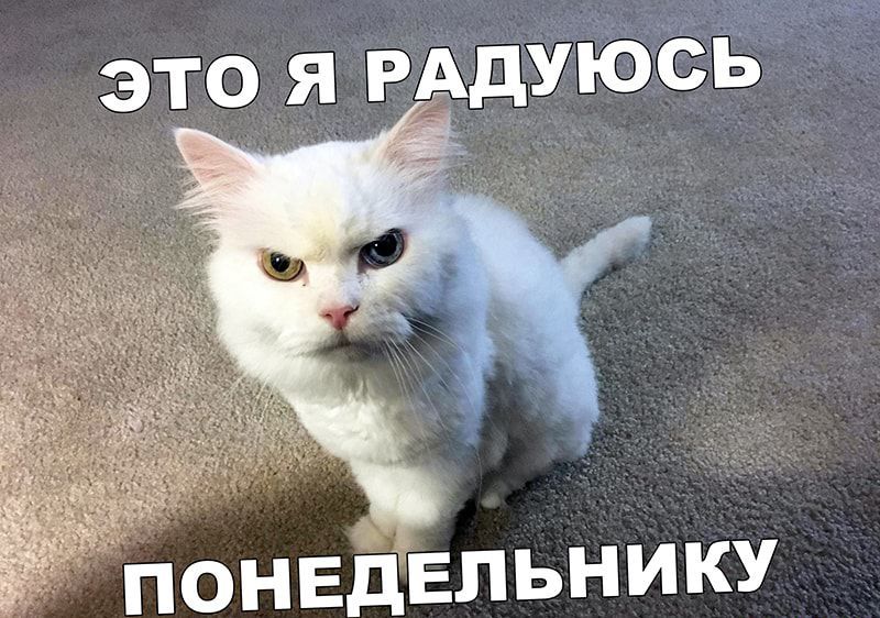 это я РАдУЮСЬ ПОНЕДЕЛЬНИКУ