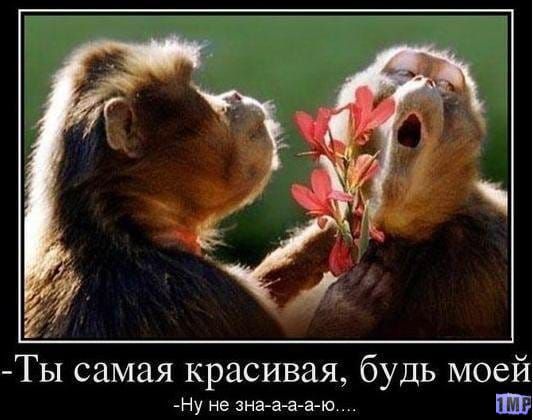 Ты самая красивая будь моей Ну не зна за э И ЕЕ