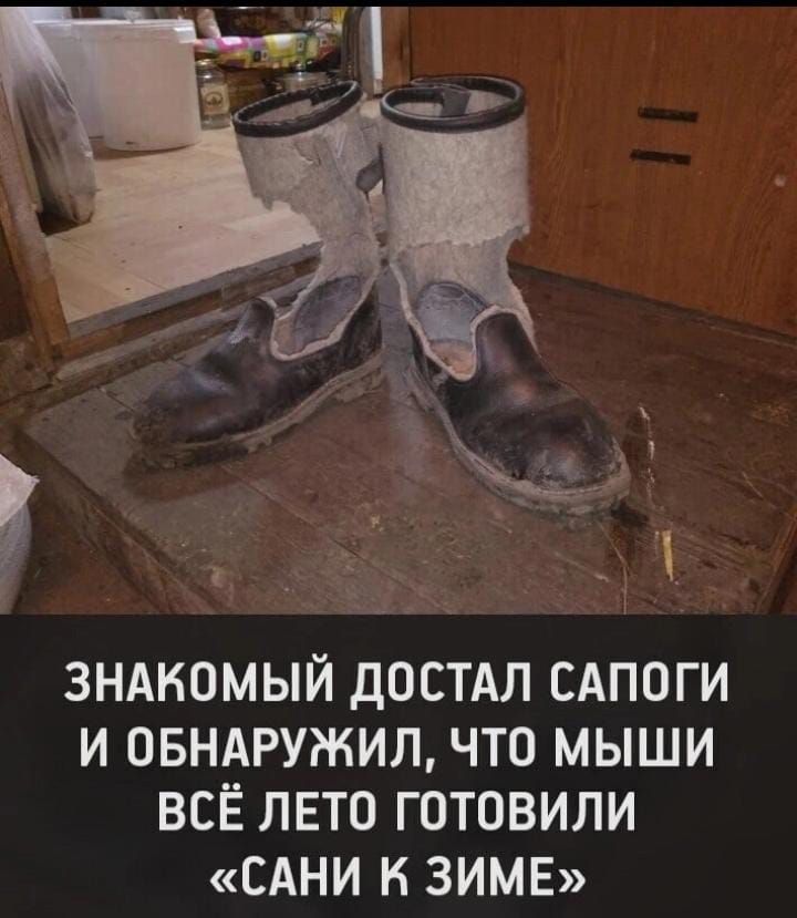 зндкомый дОСТАЛ сдпоги и овндгужил что мыши всё лето готовили БАНИ И ЗИМЕ