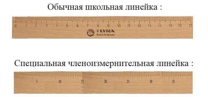 Обычная школьная птнейка Специалъная членонзмершпепьная шшейка