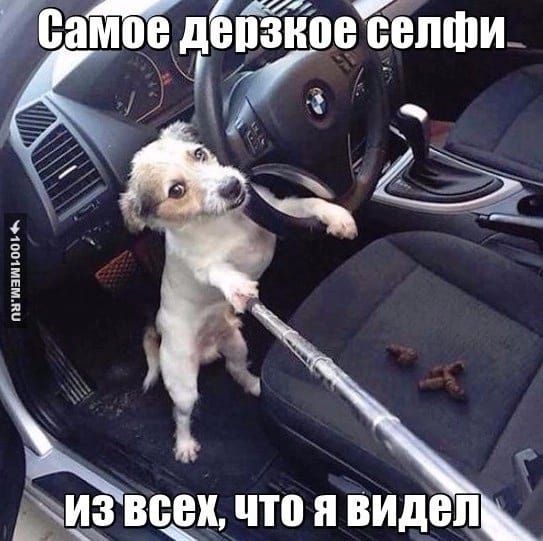 ебёпфи о ггг г те