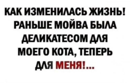 КАК ИЗМЕНИМОЪ ЖИЗНЬ РАНЬШЕ МОЙВА БЫМ АЕАИКАТЕСОМ МЯ МОЕГО КОТА ТЕПЕРЬ МЯ МБШ