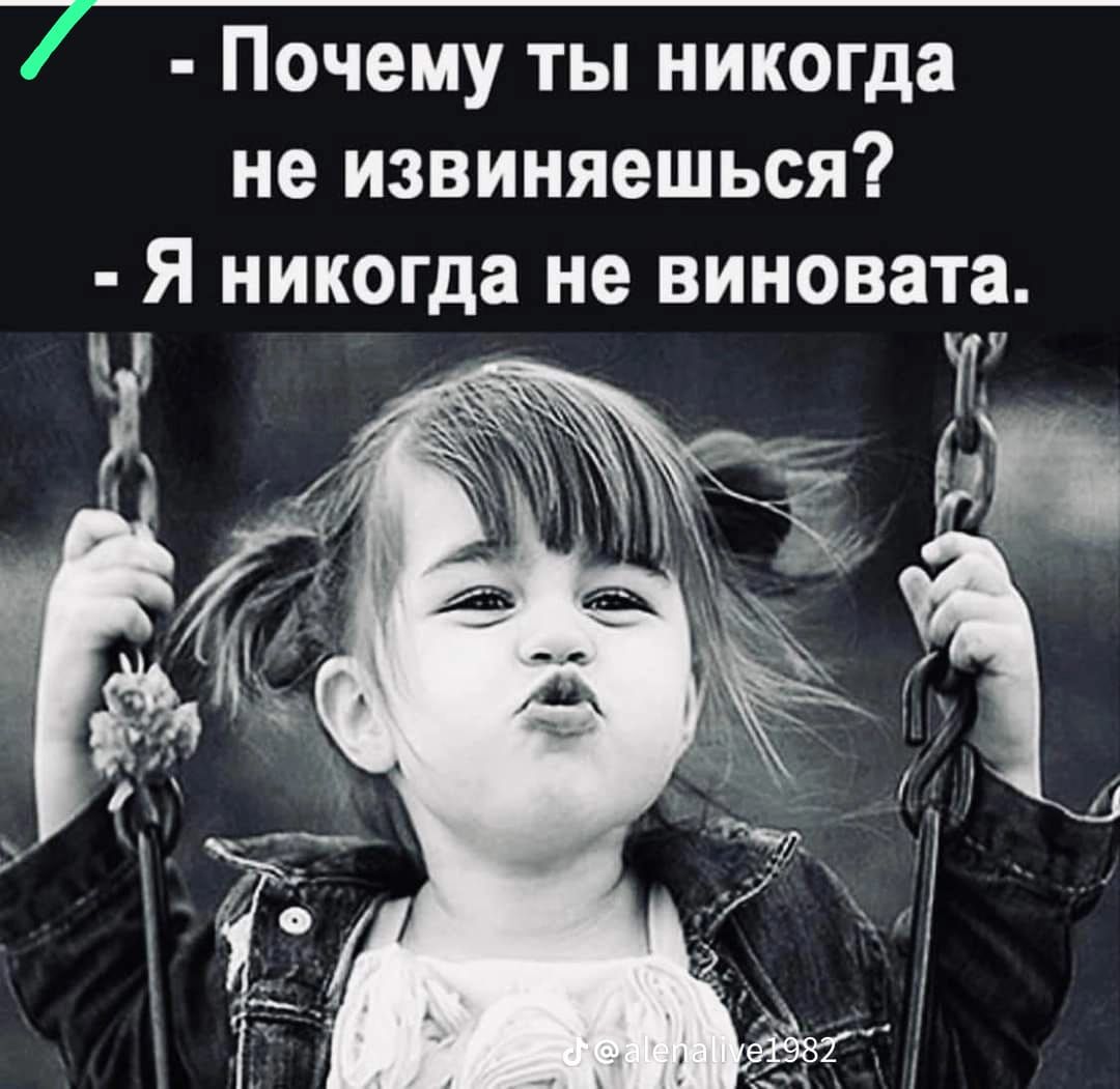 Почему ты никогда не извиняешься Я никогда не виновата