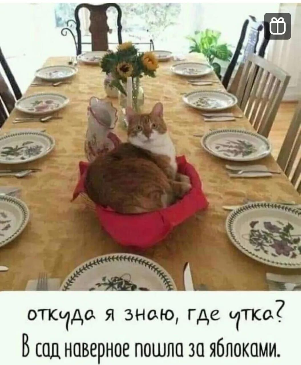 откчдо я знаю где Т В ШП НПВЁРНОЕ ПОШПП 30 яблоками
