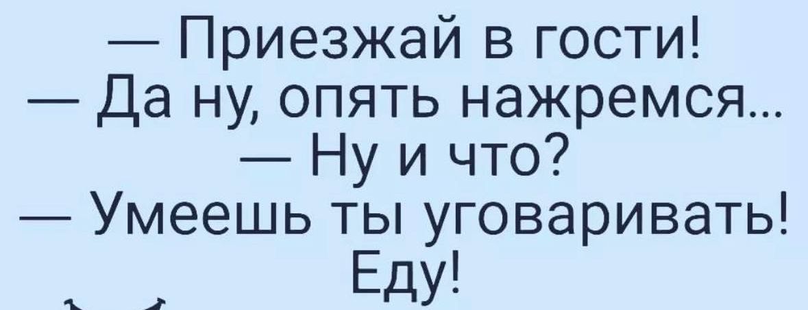 Приезжай в гости Да ну опять нажремся Ну и что Умеешь ты уговаривать Еду