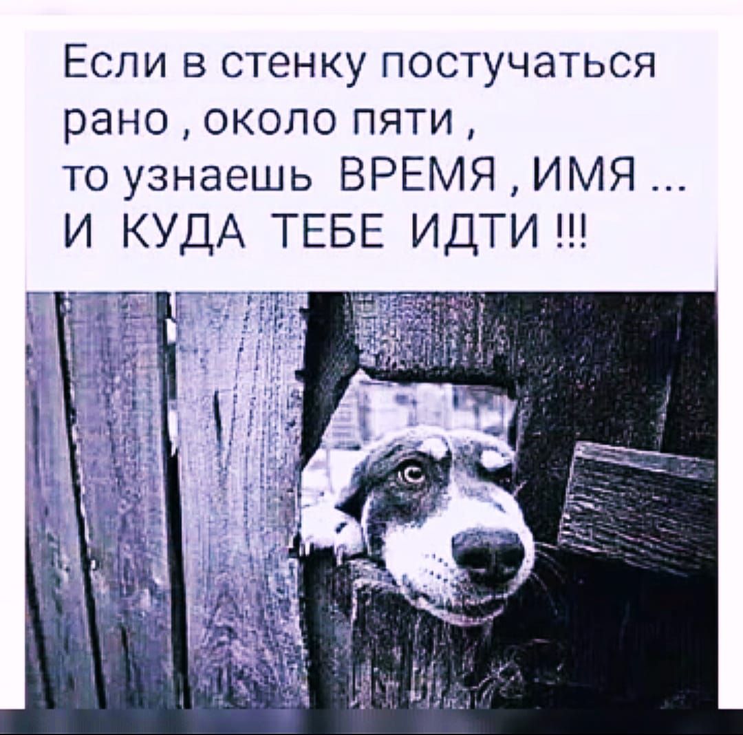 Если в стенку постучаться рано около пяти то узнаешь ВРЕМЯ ИМЯ И КУДА ТЕБЕ ИДТИ