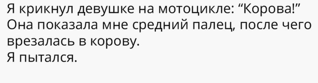 Я крикнул девушке на мотоцикле Корова Она показала мне средний палец после чего врезалась корову Я пытался