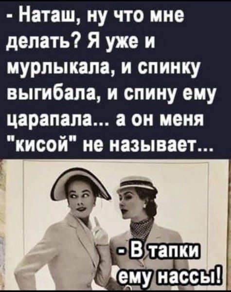 Наташ ну что мне делать Я уже и мурлыкала и спинку выгибала и спину ему царапапа а он меня кисой не называет