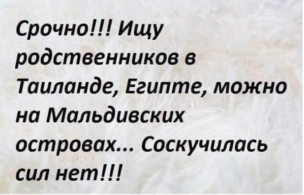 Срочно Ищу родственников в Таиланде Египте можно на Мальдивских островах Саскучилась сил нет