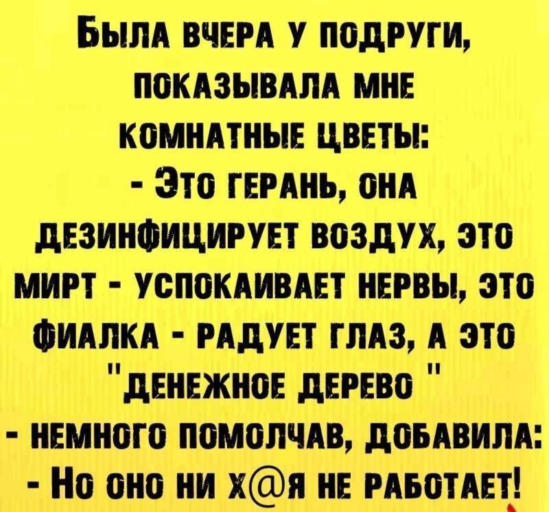 Быпд вчнм у подруги покдзывдпд мин каминные цввты Зто пить они дезииоицигувт воздух это мигт успокдивдвт нивы это Фидлкд идувт глдз А это денежное дерево ишиого помопчдв доывипи Но оно ни хя и мьотдц