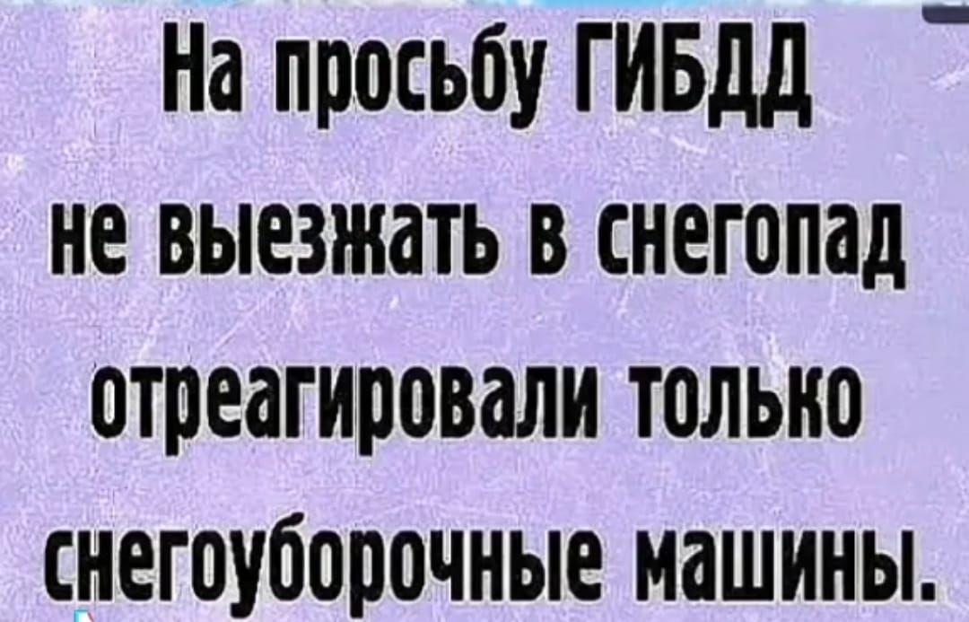 На просьбу ГИБДД не выезжать в снегопад отреагировали только снегоуборочные машины