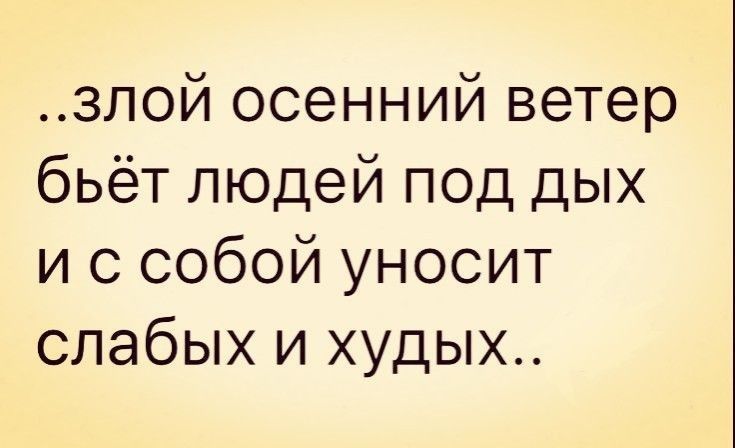 злой осенний ветер бьёт людей под дых и с собой уносит слабых и худых