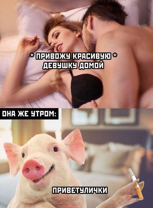 ПРИВЕ ТЦПИЧКИ