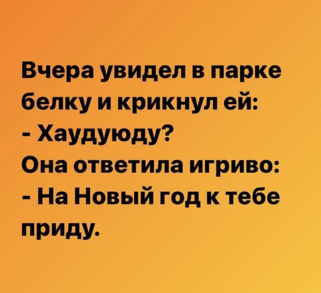 Вчера увидел в парке белку и крикнул ей ХаУдУЮдУ Она ответила игриво На Новый год к тебе приду