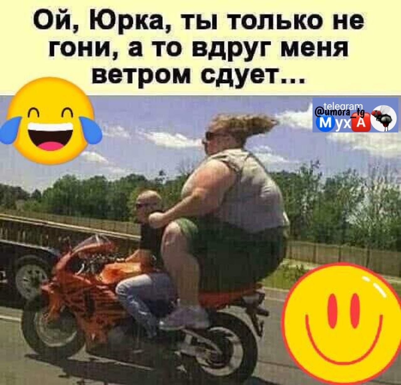 Ой Юрка ты только не гони а то вдруг меня ветром сдует Египта _ _