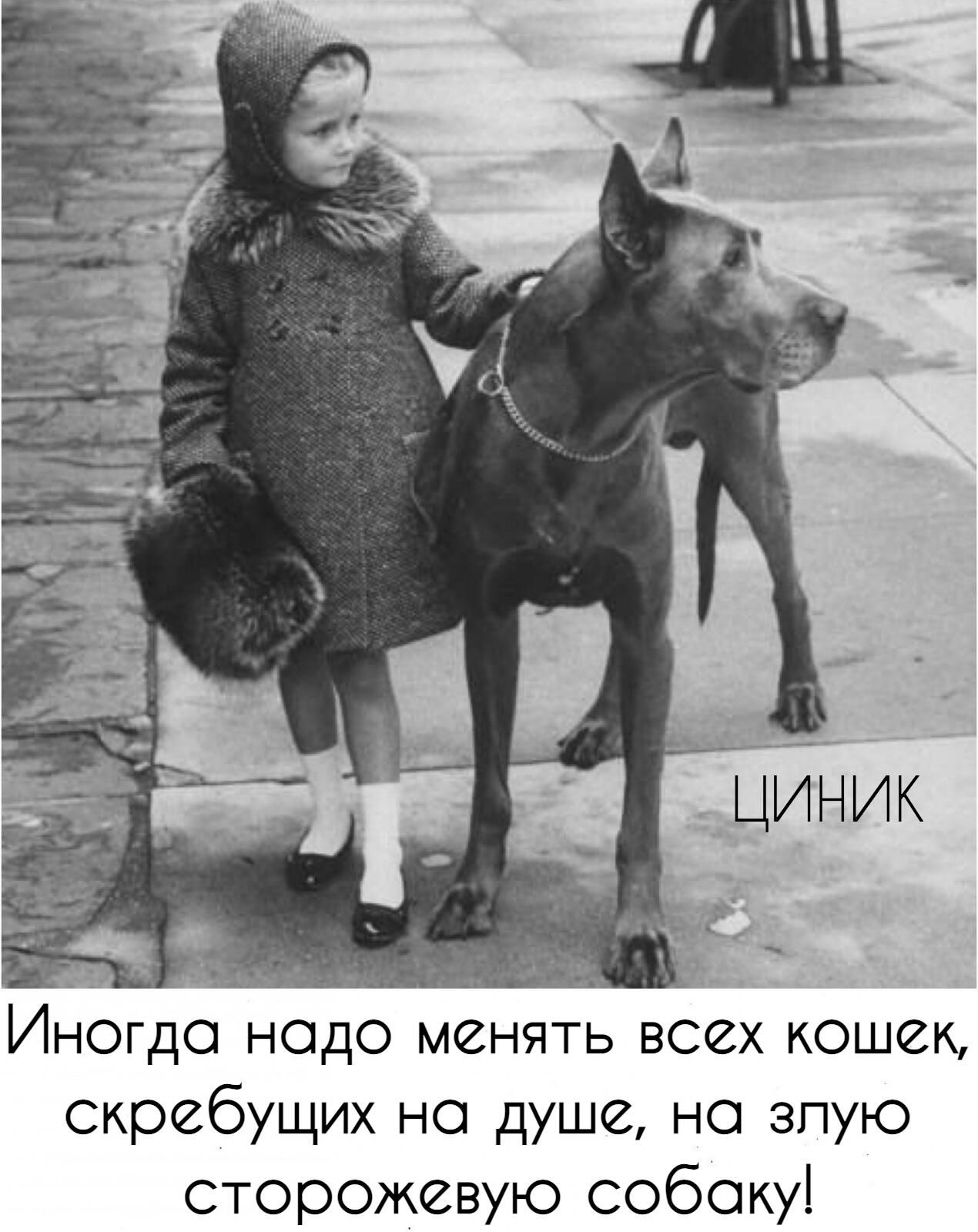 Иногдо надо менять всех кошек скребущих на душе не зпую сторожевую собаку