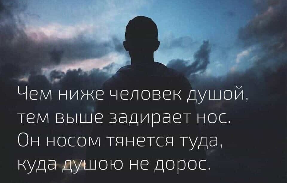 ы Чем ниже человек душой тем выше задирает нос Он носом тянется туда куда душою не Дорос