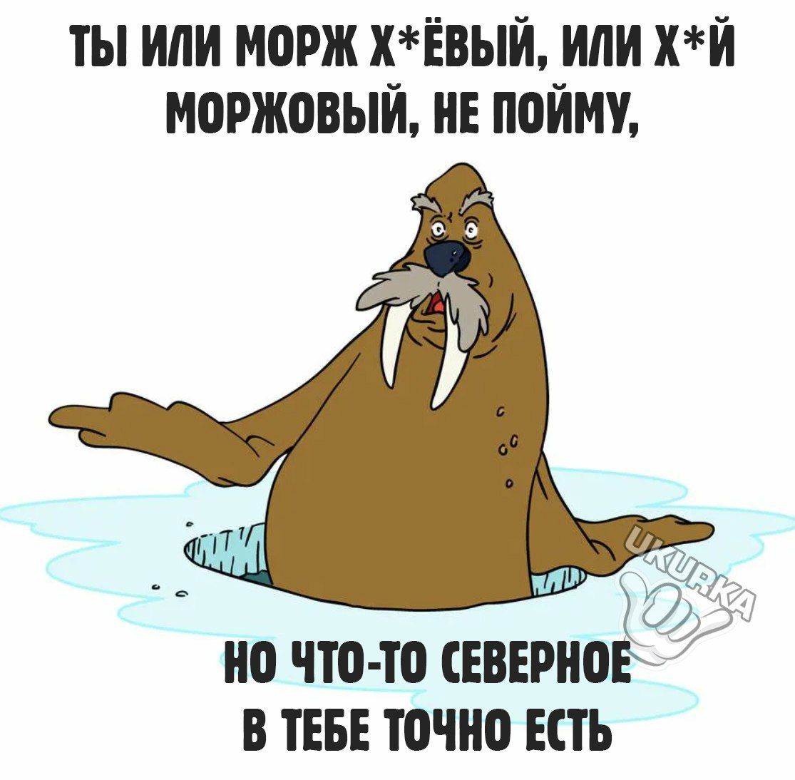 ты или морж хівый или хй моржовый и пой М но что то СЕВЕР0Е В ТЕБЕ точно ЕСТЬ