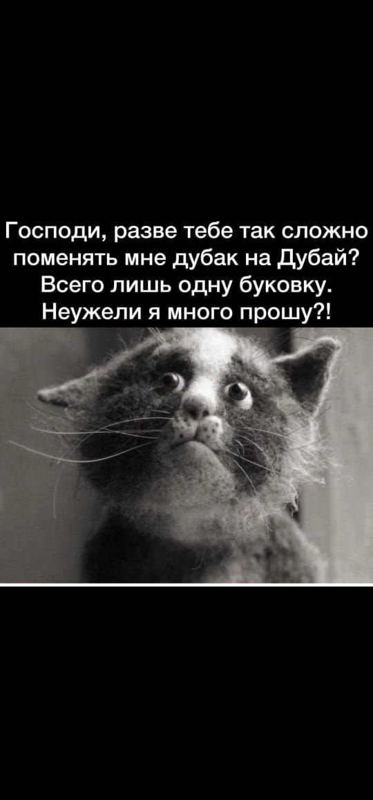 Господи разве тебе так сложно поменять мне дубак на дубай Всего лишь одну буковку Неужели я много прошу