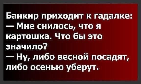 Банкир приходит к гадалке Мне снилось что я картошка Что бы это значило Ну либо весной посадят либо осенью уберут